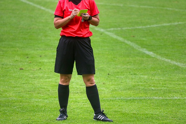 Türk Futbolunun Efsanevi Hakemleri